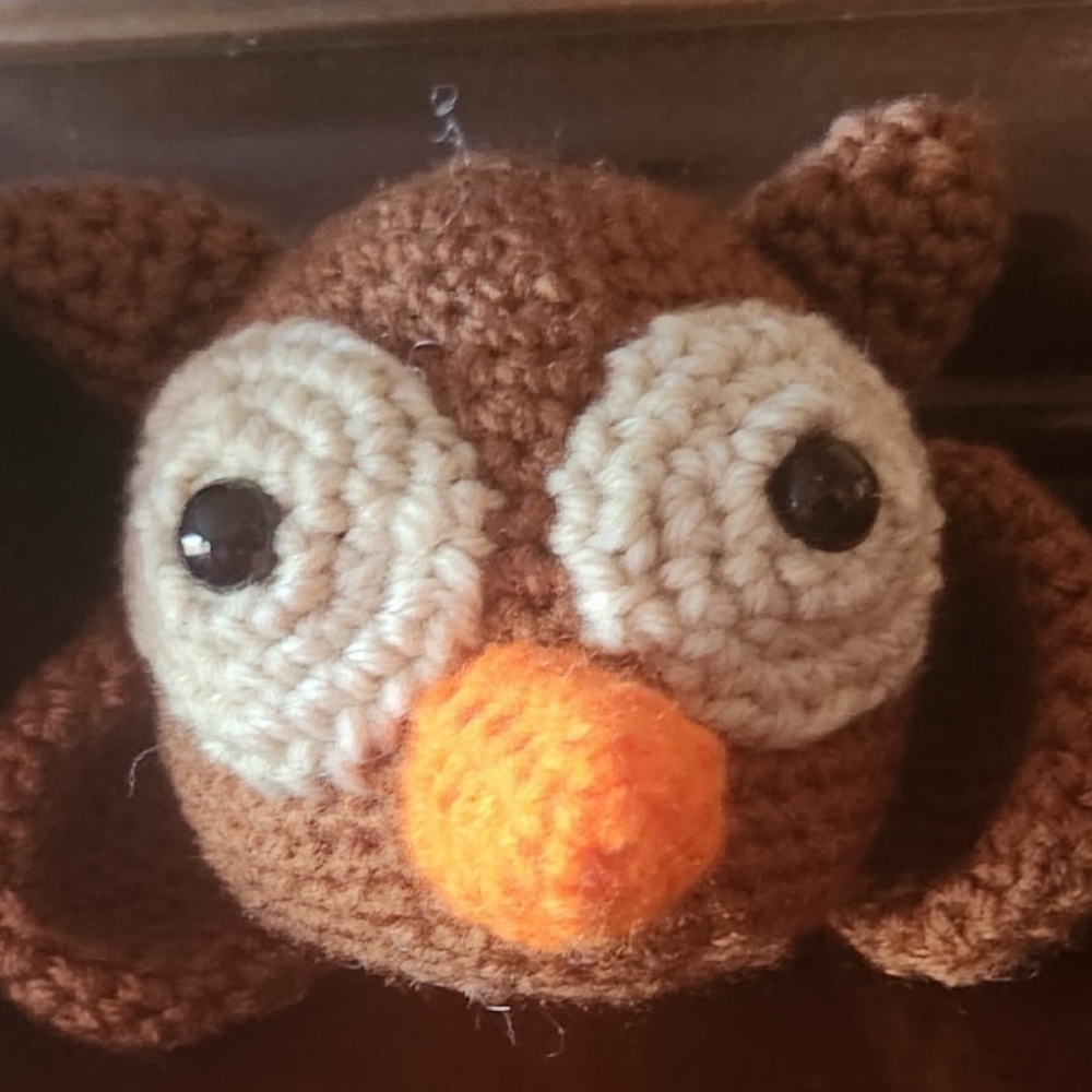 Handmade Crochet Amigurumi Owl